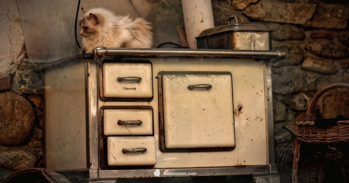 Convection Bake Guide - Bake In Oven