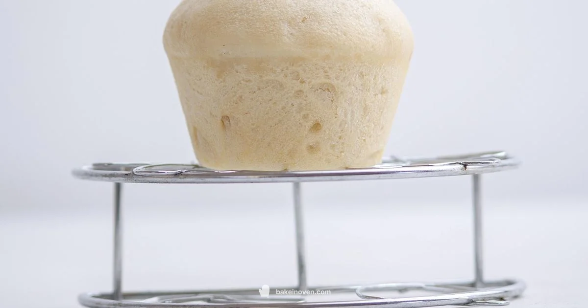 Fridge Storage - Bake In Oven