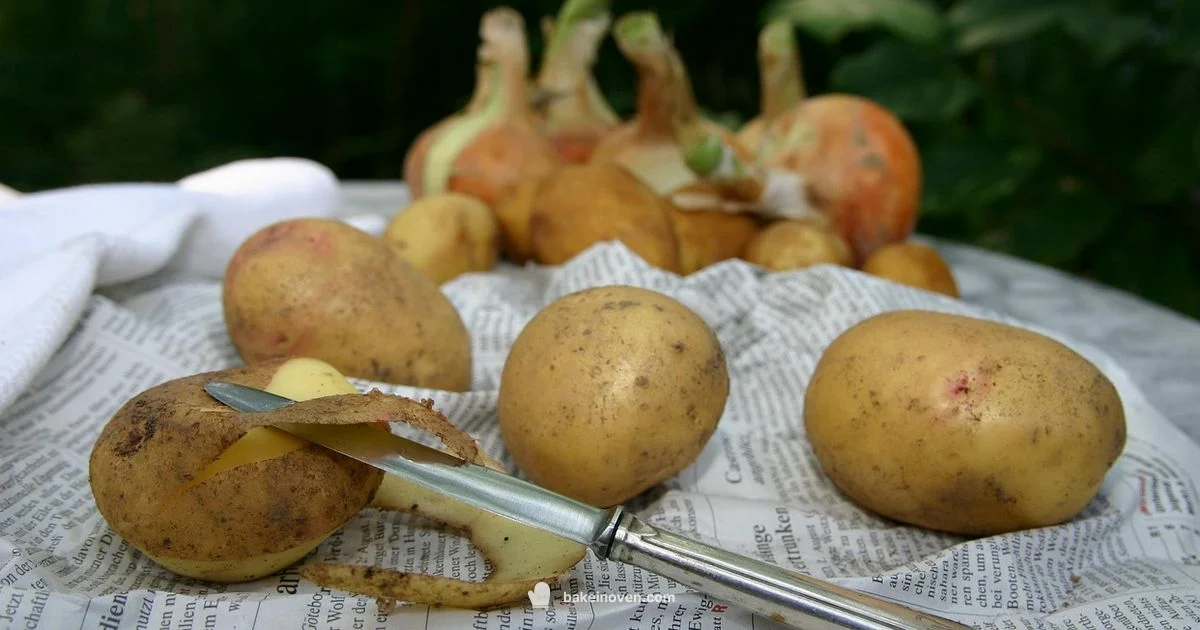 Potato Safety Guide Potato Safety Guide - Bake In Oven