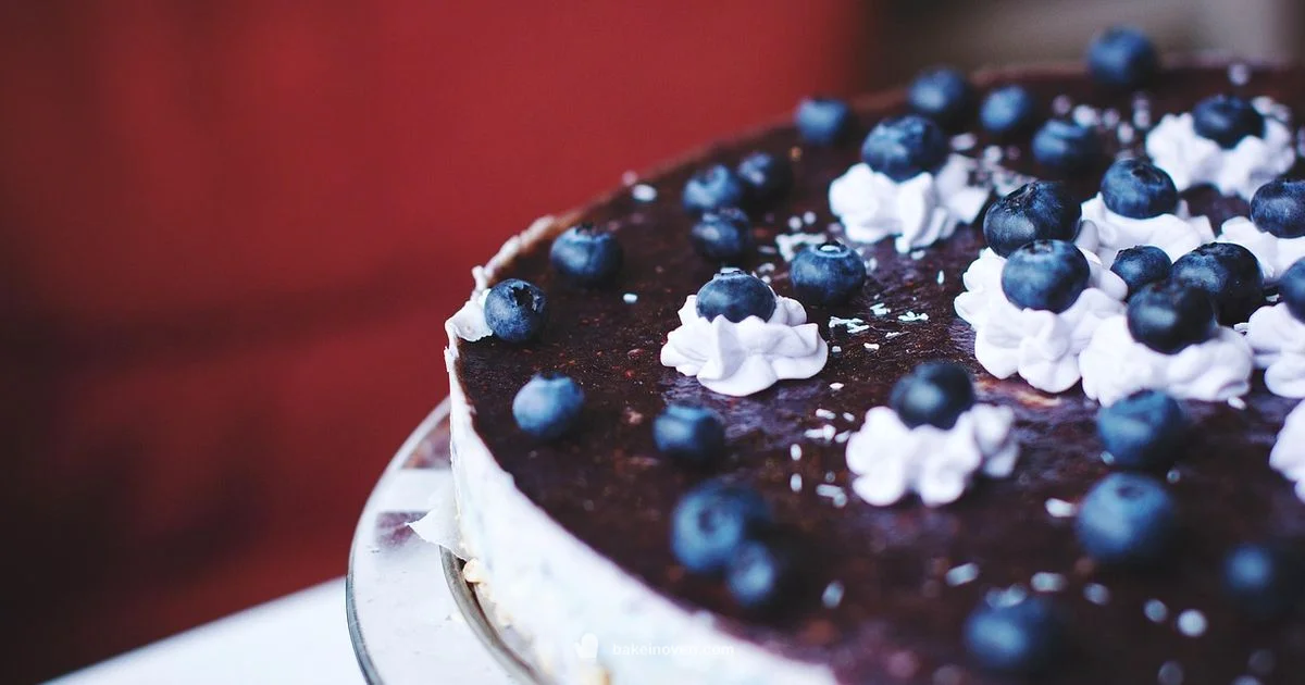 Blueberry No-Bake Cheesecake - Bake In Oven