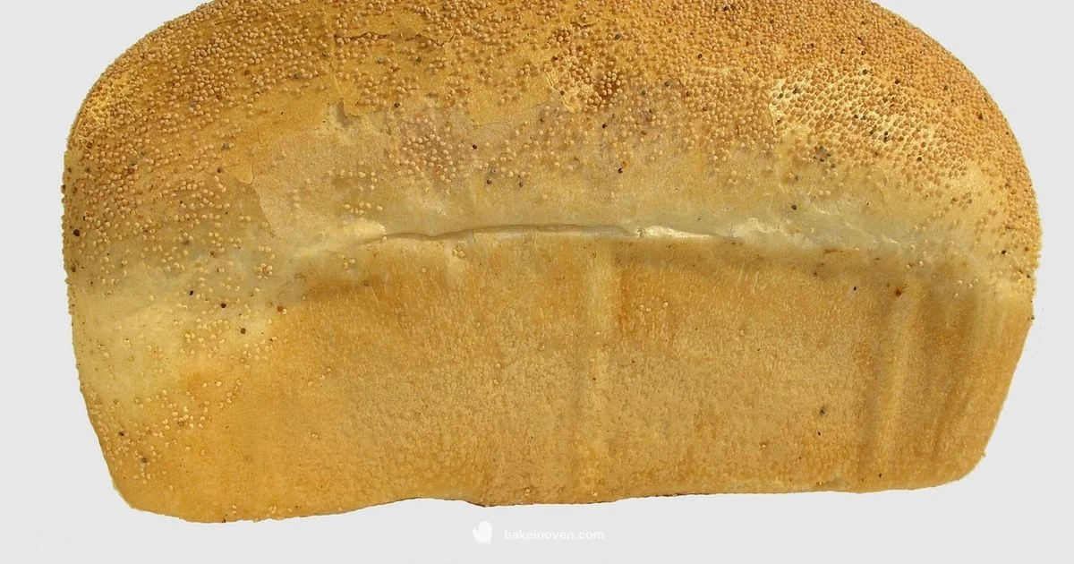 Easy Bake Oven Guide Easy Bake Oven Guide - Bake In Oven