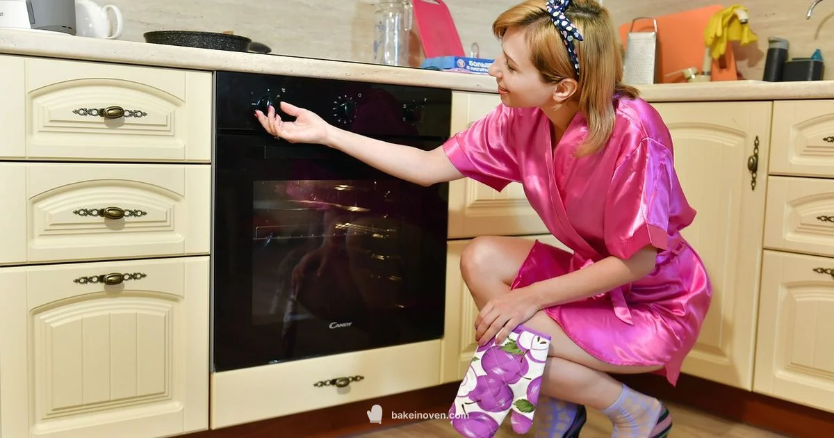 Bake Off Watch Guide Bake Off Watch Guide - Bake In Oven