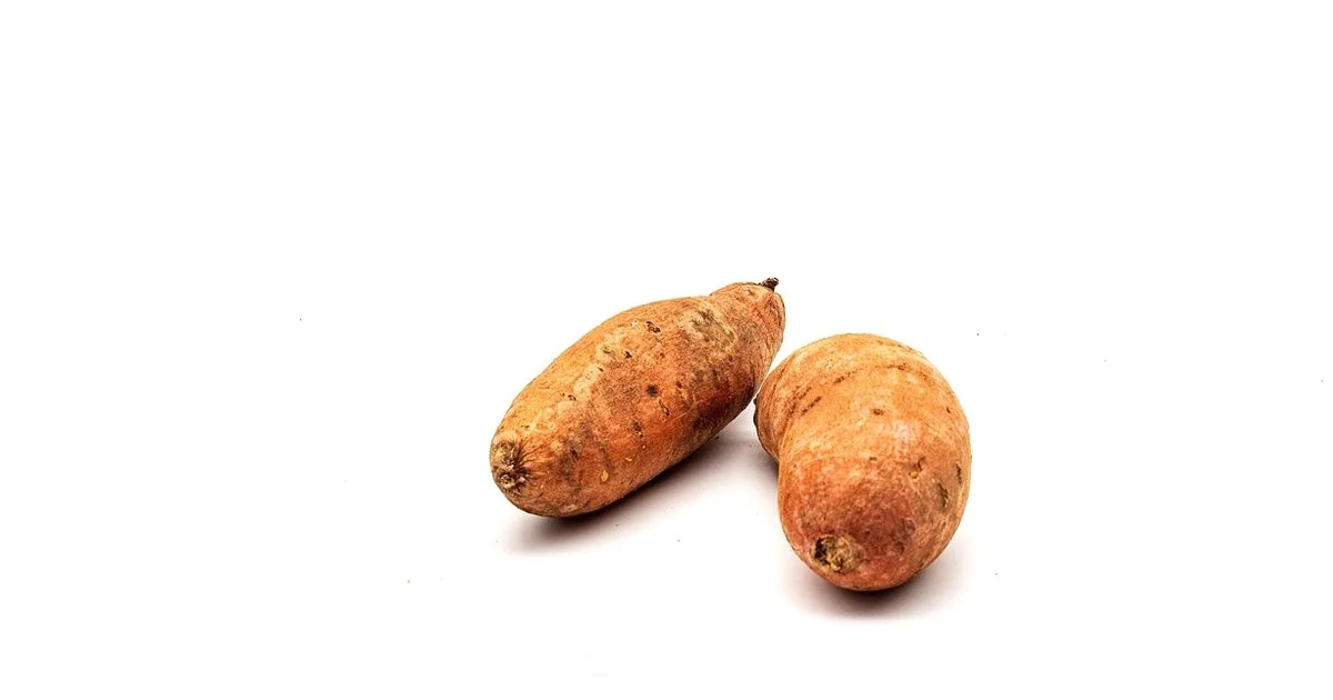 Sweet Potato Casserole Base - Bake In Oven