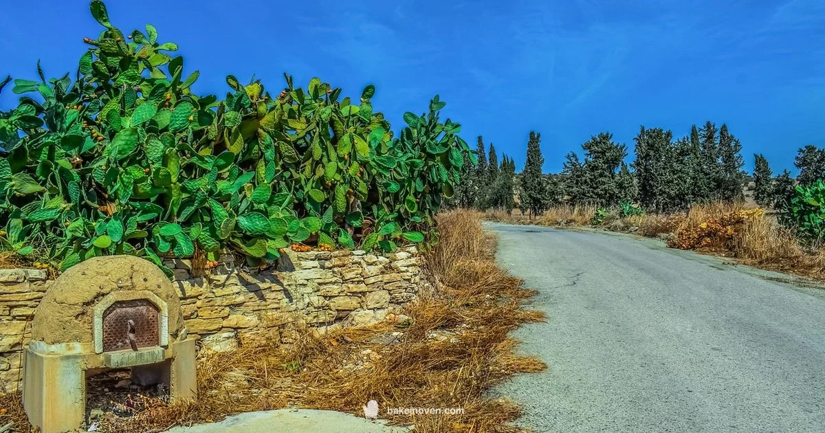 Bakersfield Today Guide Bakersfield Today Guide - Bake In Oven