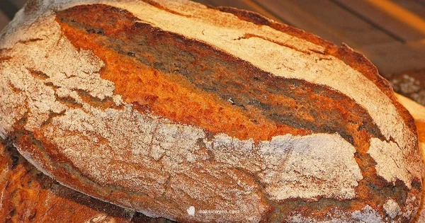 What Can Bake - Bake In Oven