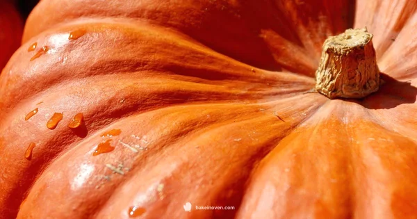 Pumpkin Bake Guide - Bake In Oven