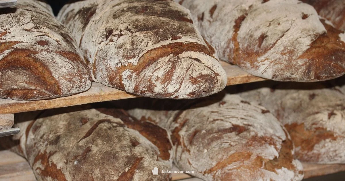 Bakery Type Guide - Bake In Oven