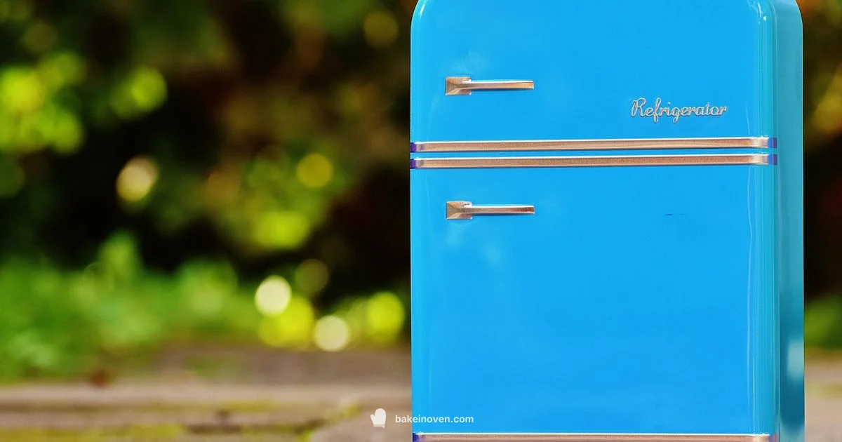 Frozen Cookies Guide - Bake In Oven